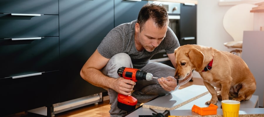 person using drill while dog helps